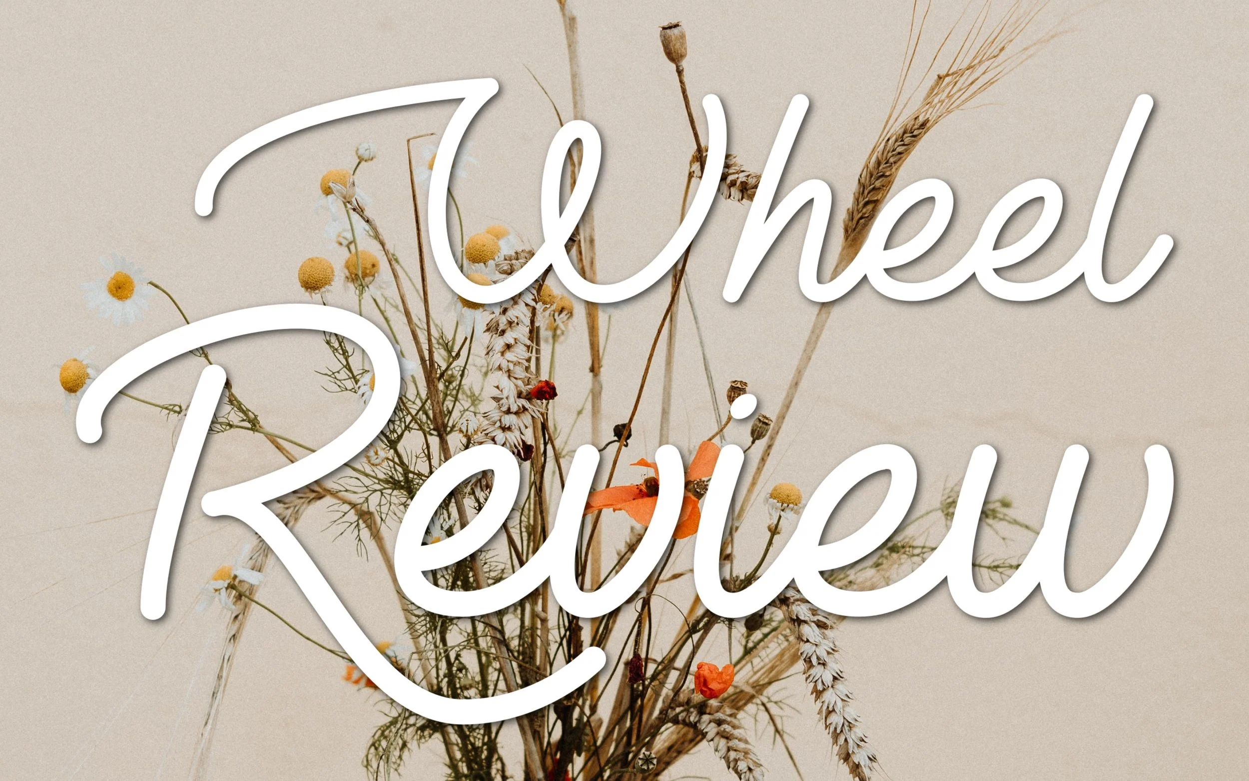 Confessions of a Homeschooler reviews the SpinOlution King Bee