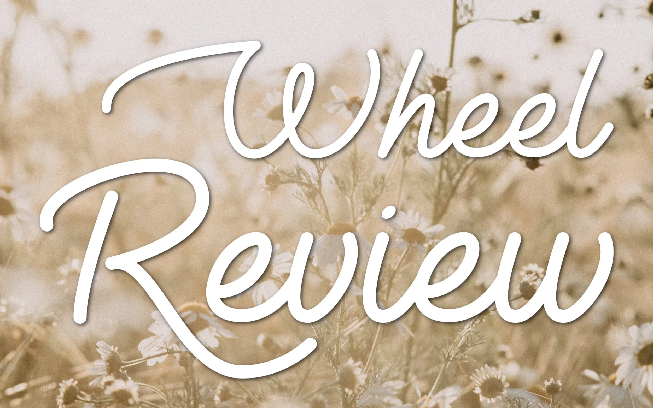 Fiber Spider assembles and reviews her new SpinOlution Pollywog