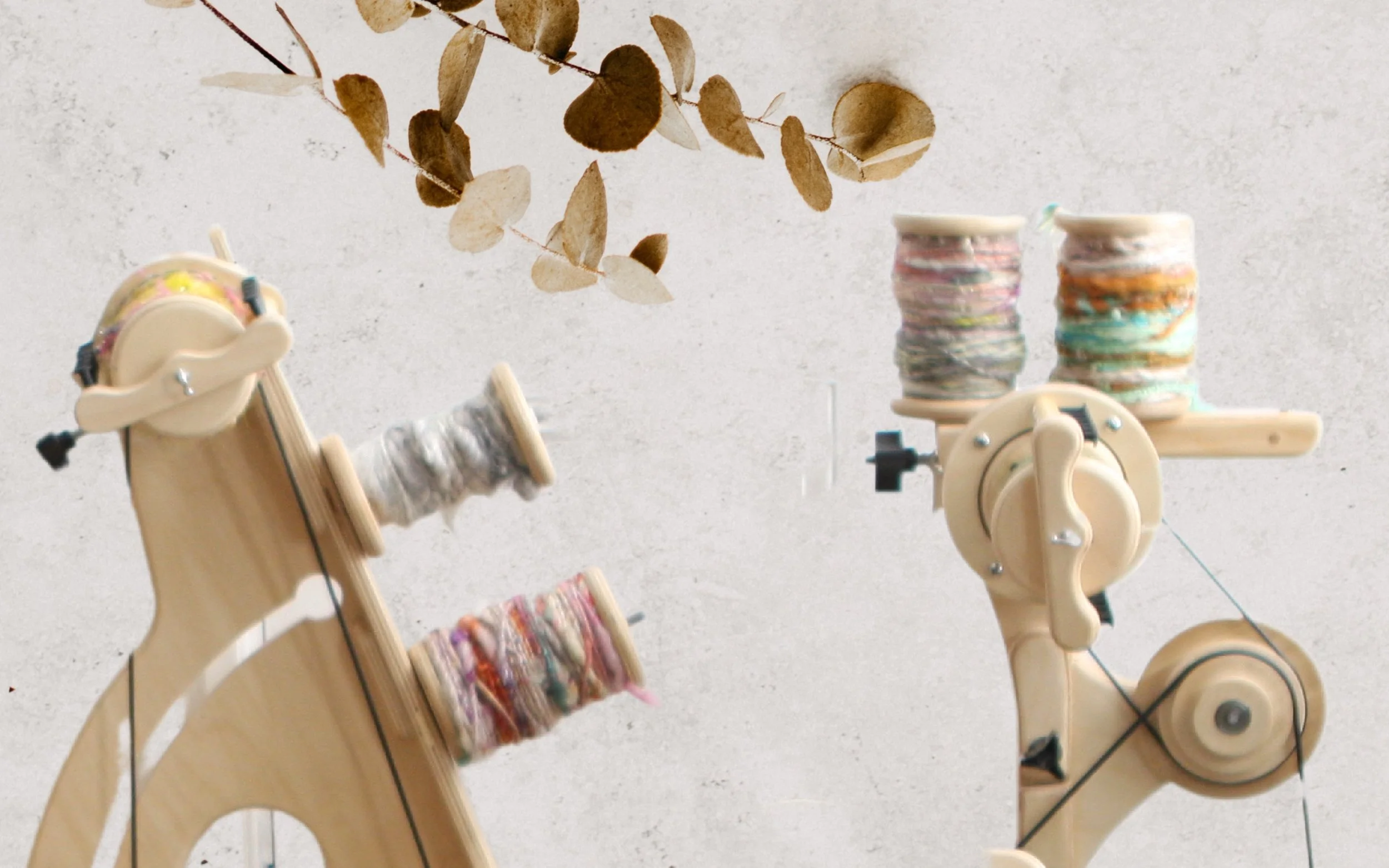 Grace Shalom Hopkins compares the Queen Bee to the Pollywog