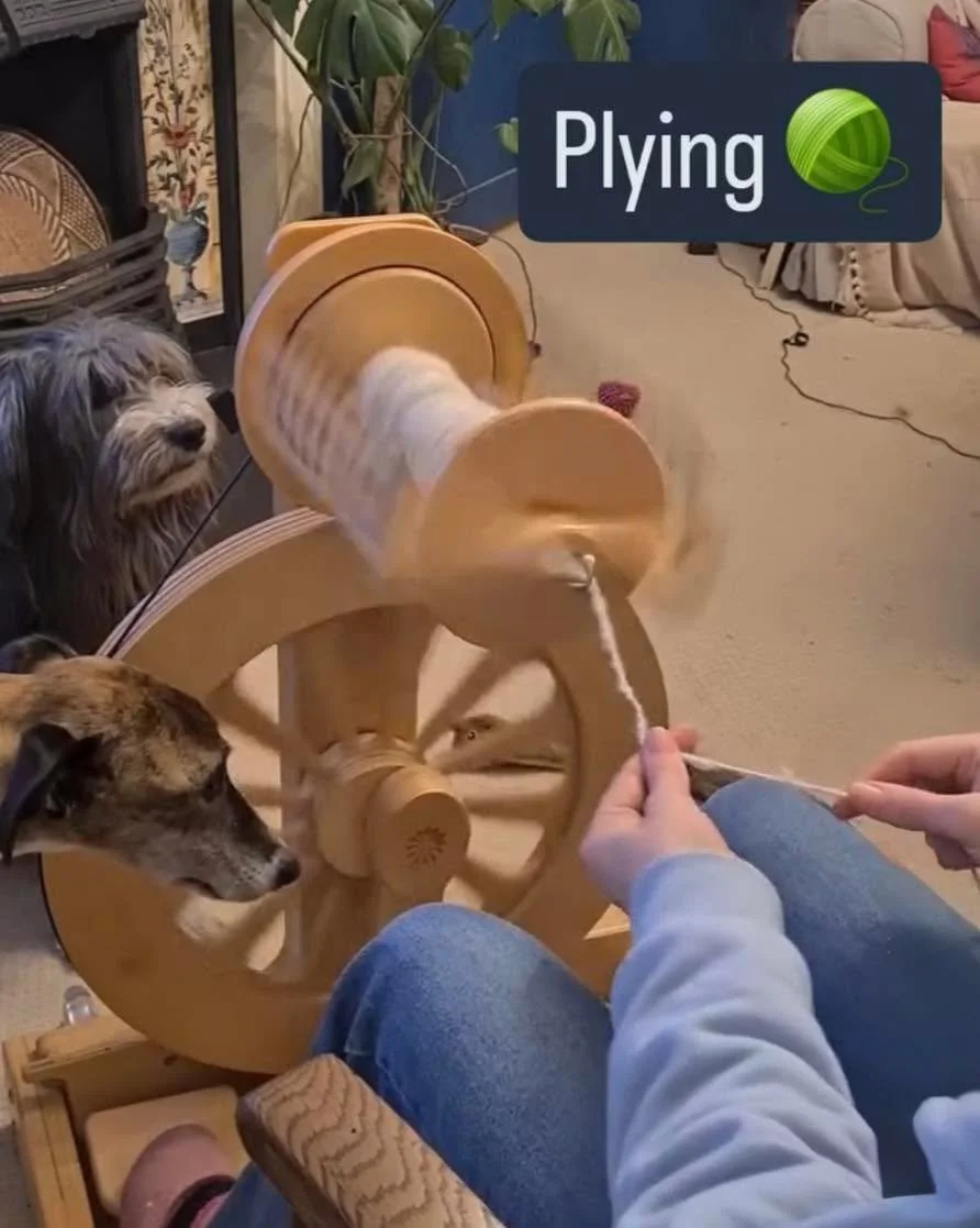 It&rsquo;s always so fun to have yarn spinning buddies! Thanks for sharing your spin with us. @thecraftstudiokineton #fineyarns #spinningyarnfromwool #spinningyarns