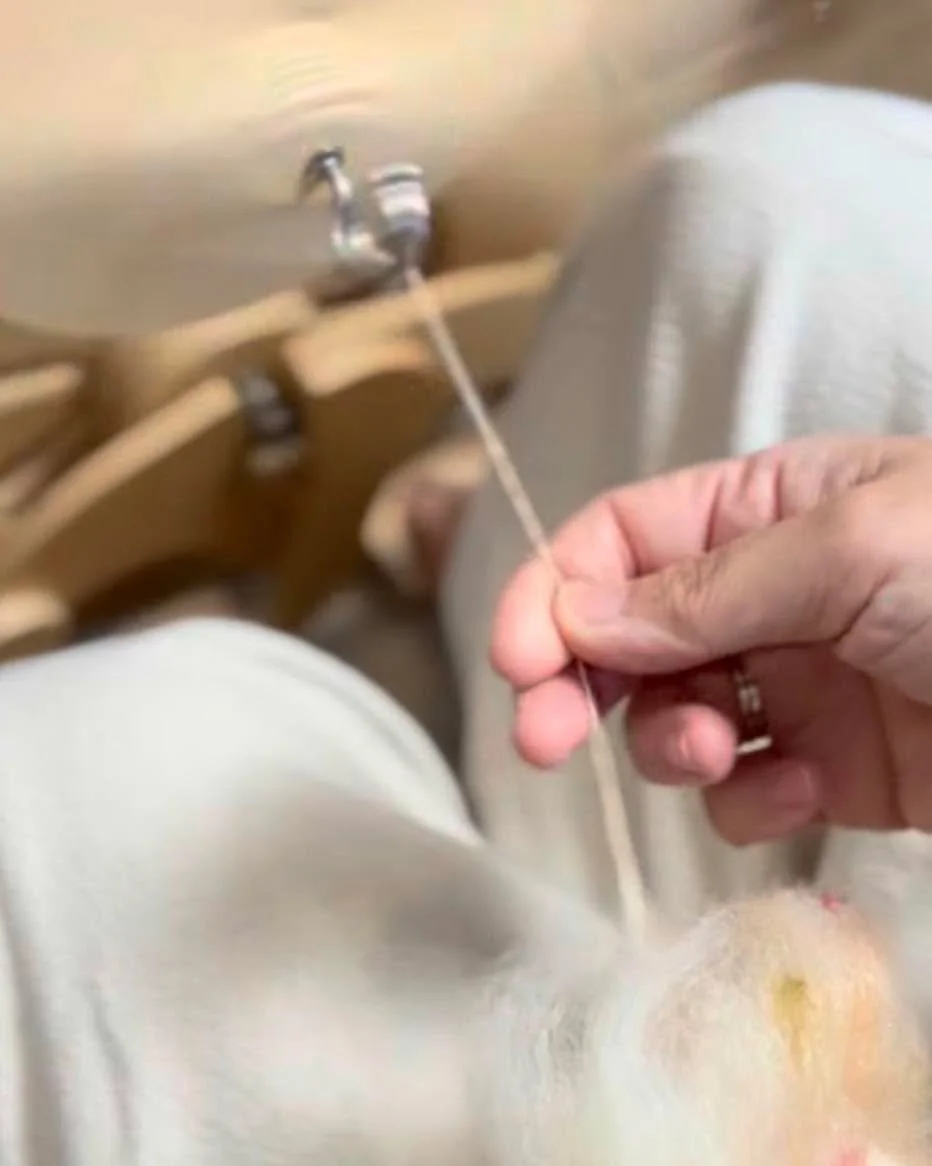 Beautiful spinning process video with @yeoneemakes  #fineyarns #spinningyarnfromwool #spinningyarn #makingyarn #fiberarts