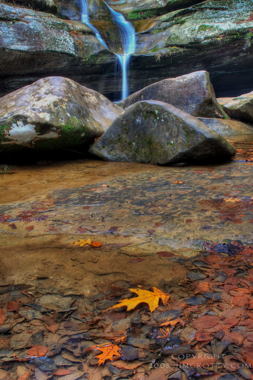 3V674OakLeafatCedarFallsbyJimCrottyFW.jpg