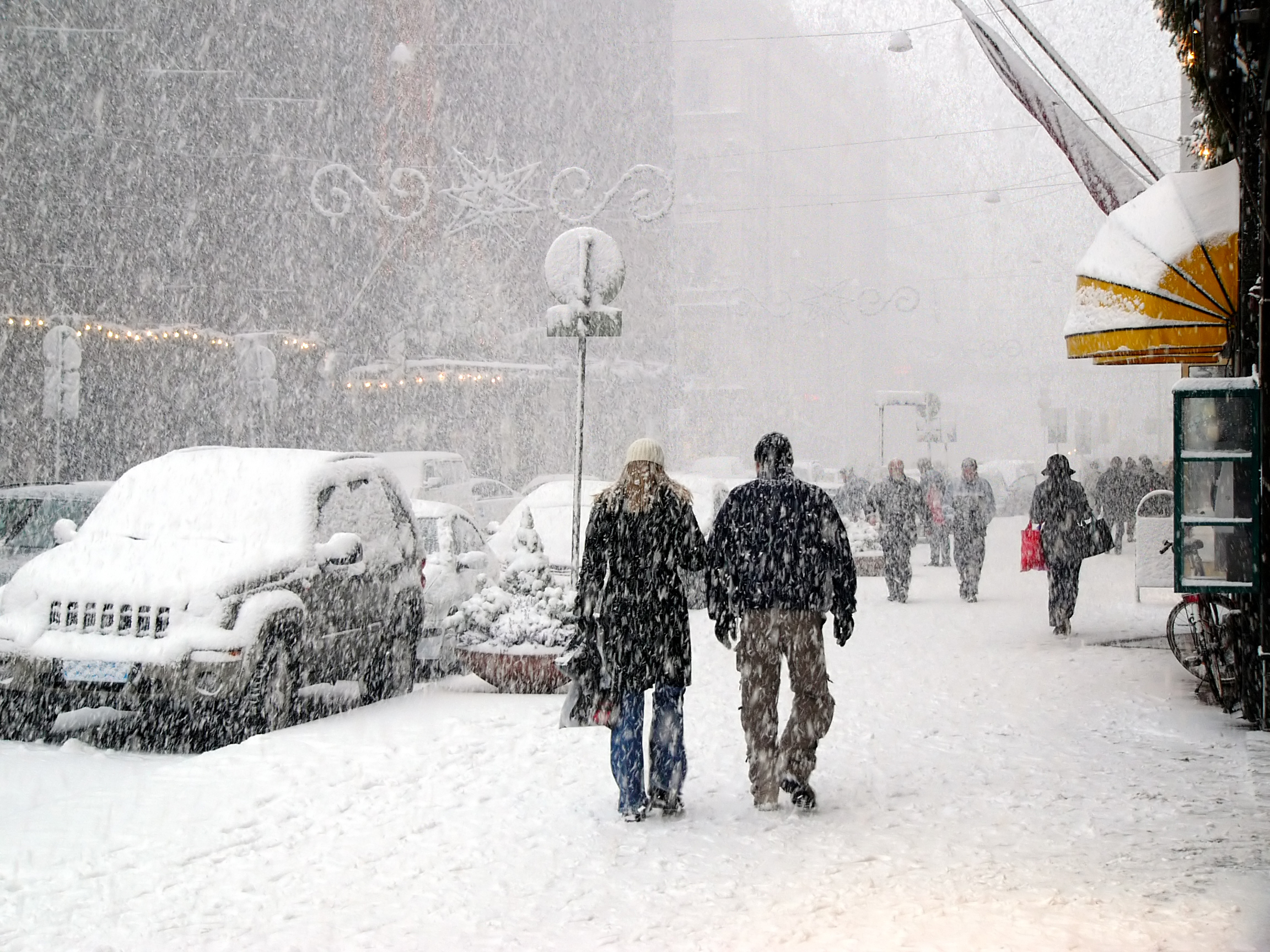 Photo by Dainis Derics/iStock / Getty Images