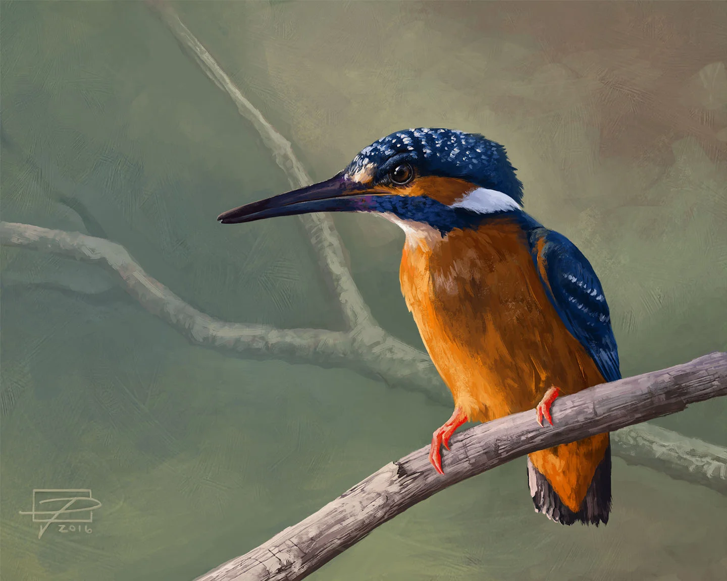 Kingfisher