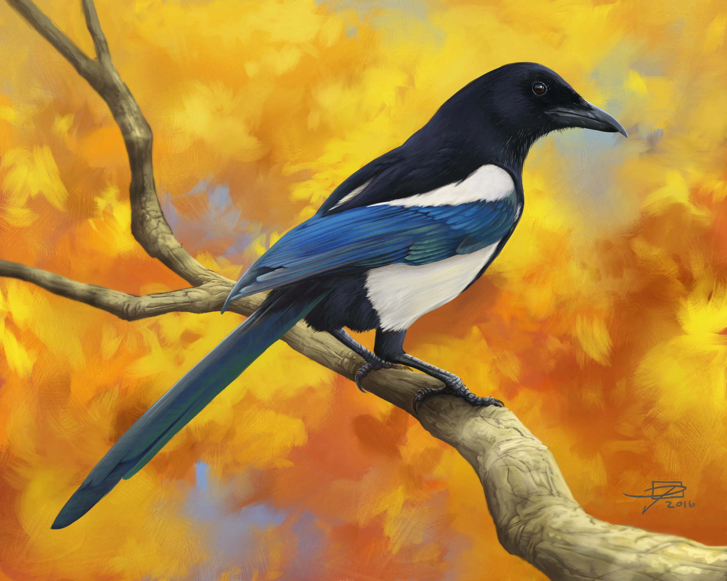 Autumn Magpie