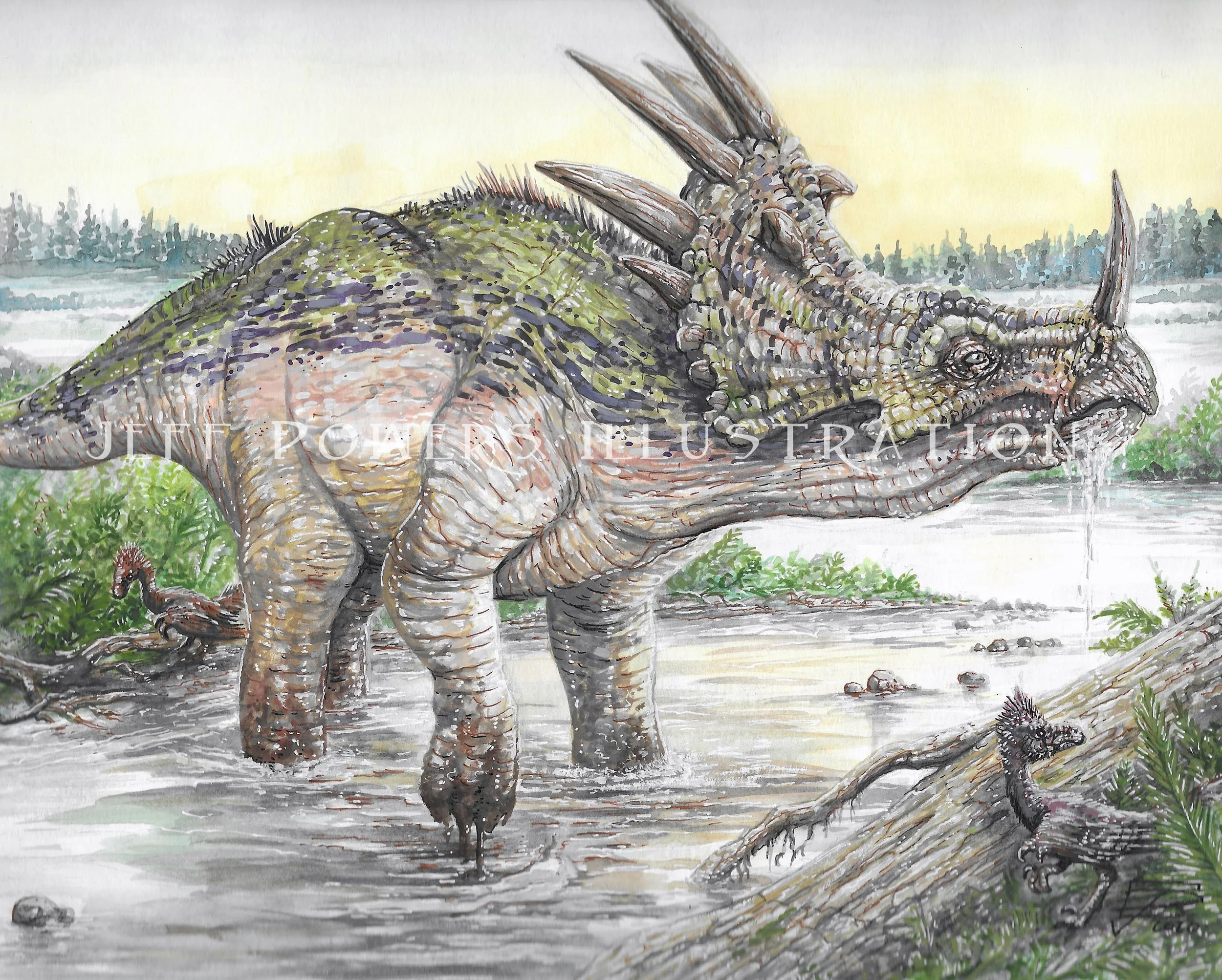 Styracosaurus wm.jpg
