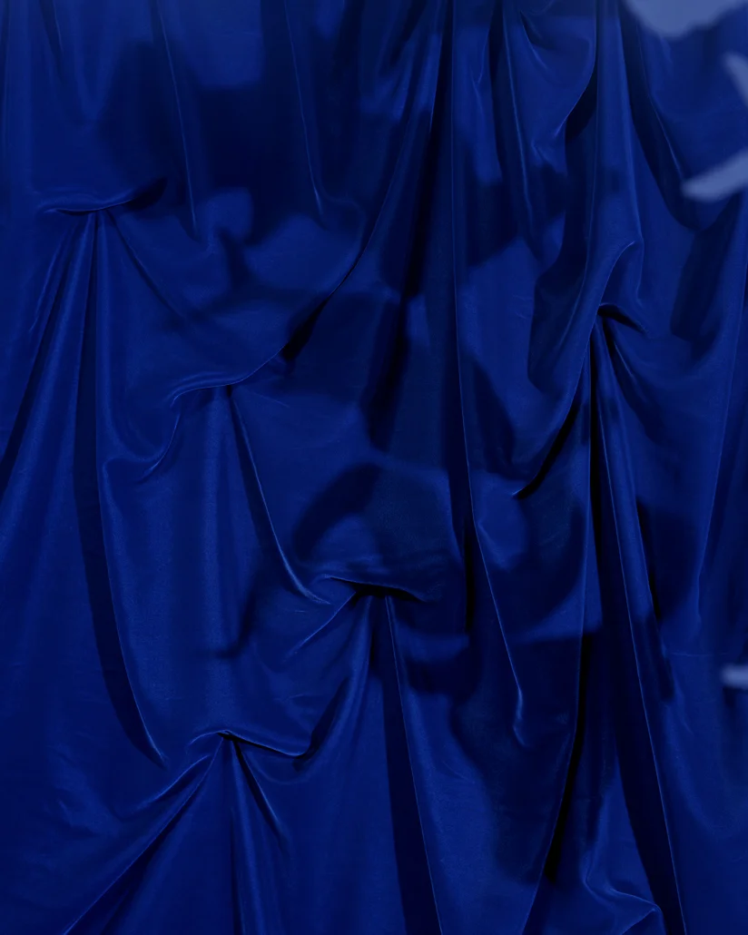 BlueVelvet-copy.jpg