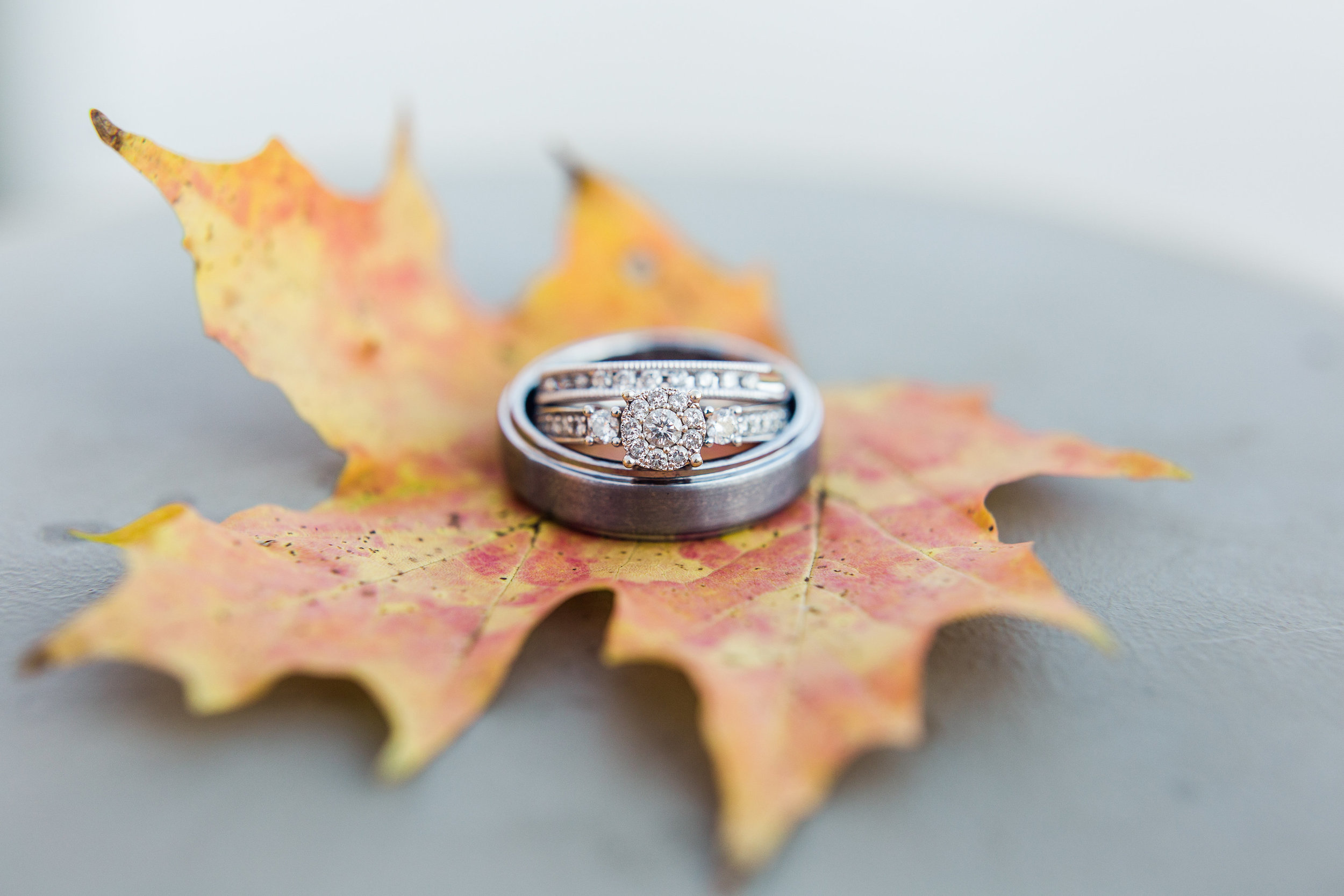 Perfect_Fall_Wedding_Rings