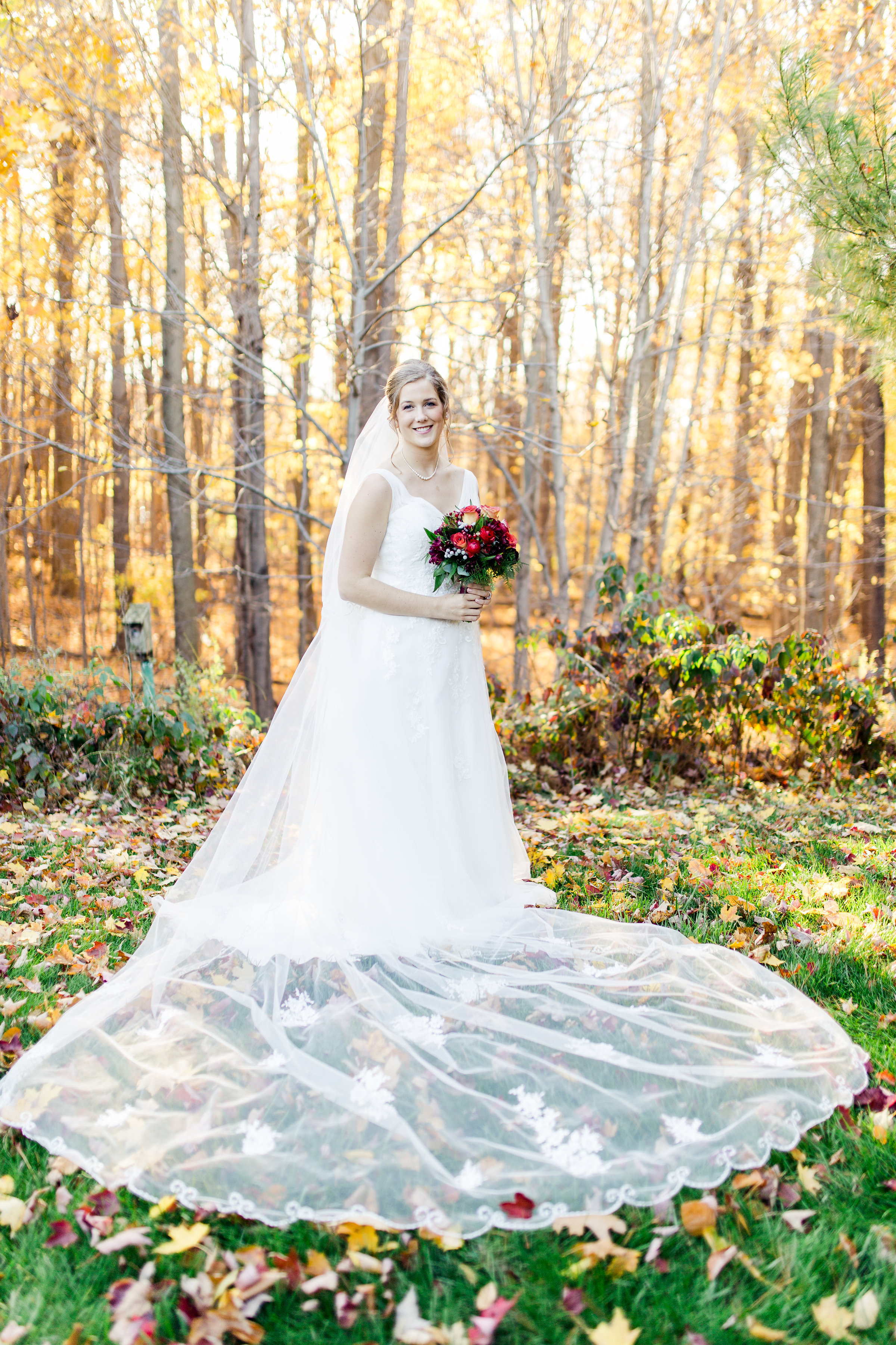 Beautiful_Antique_Veil_Fall