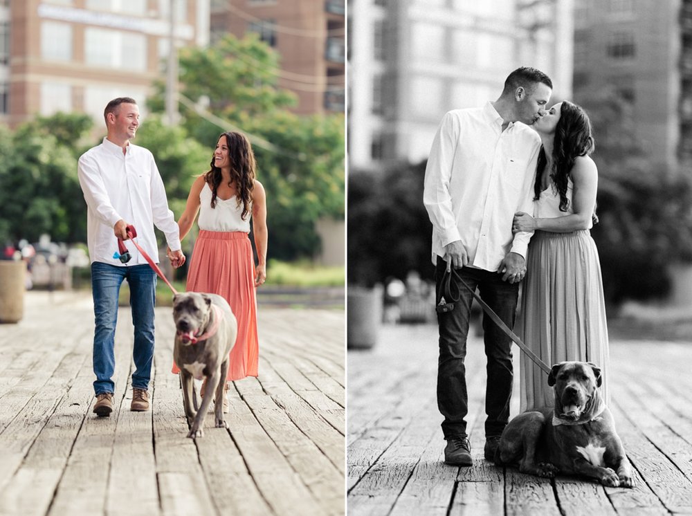 Dog Engagement Photos