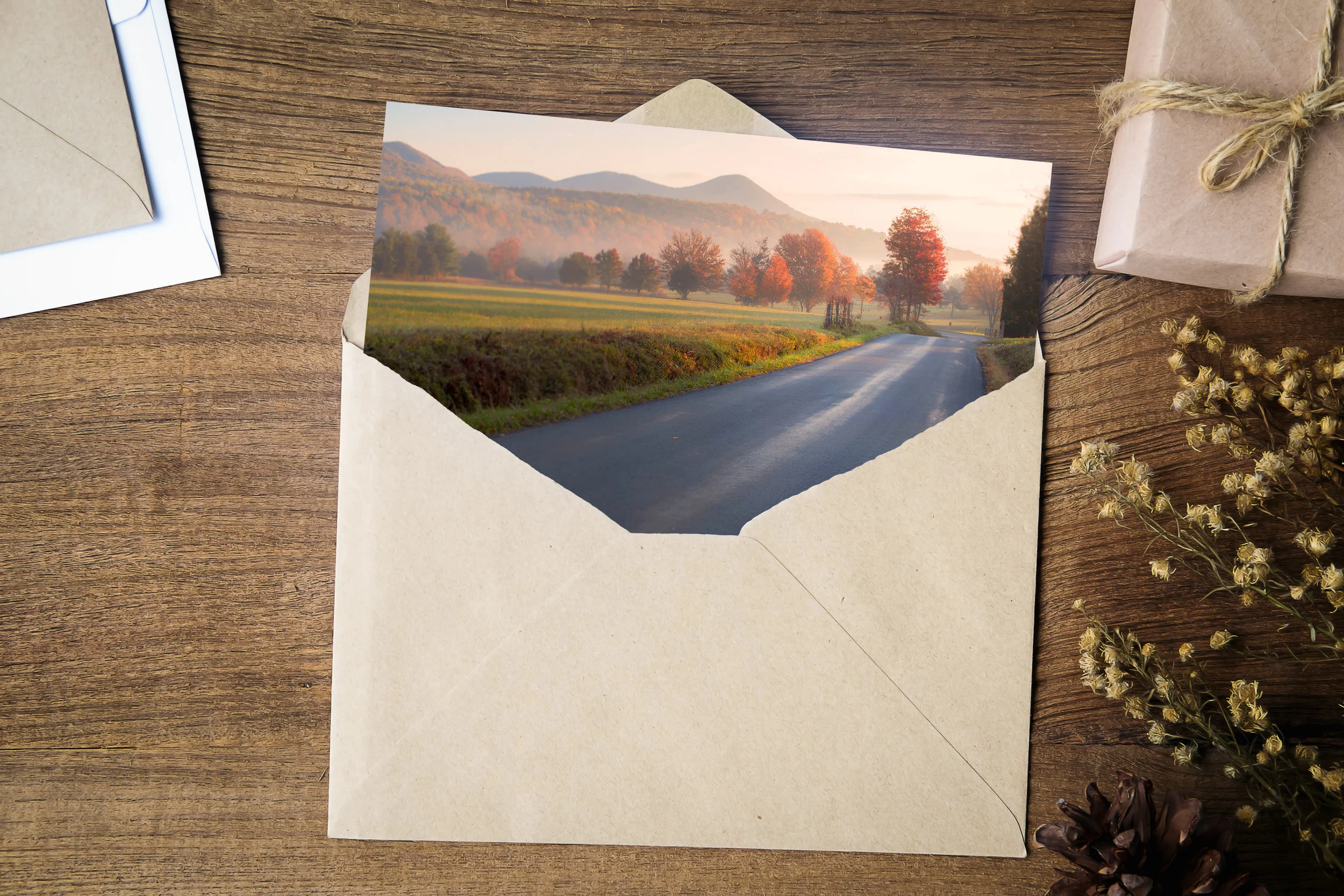 autumnmistsinenvelope.jpg