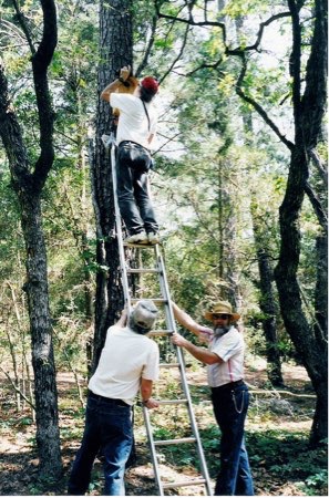  Installing screech owl box at Buescher S.P. 