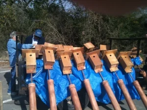  New Bluebird Boxes
