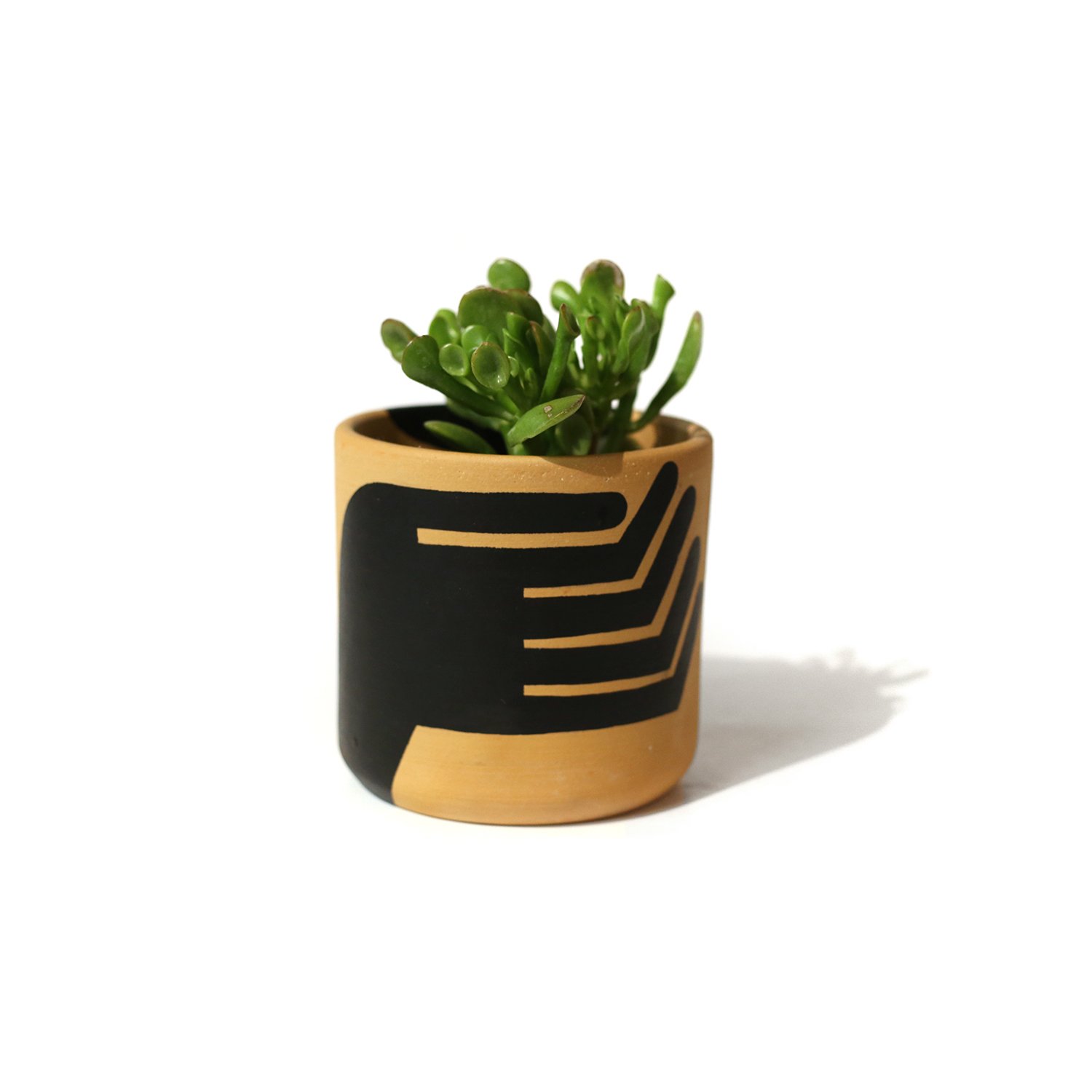 Planter by C. Marcus McCarty — practical art