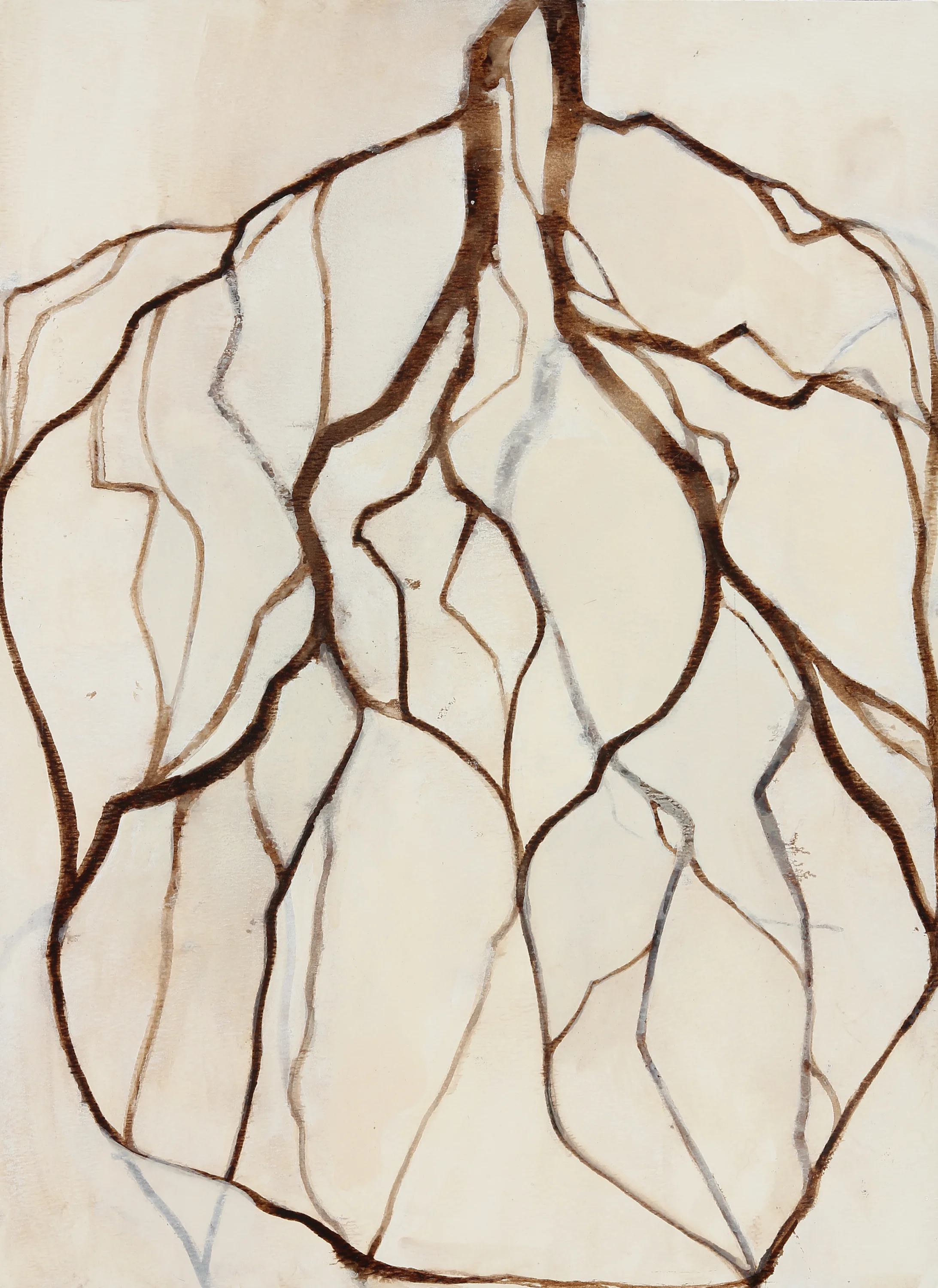 Seedling 1