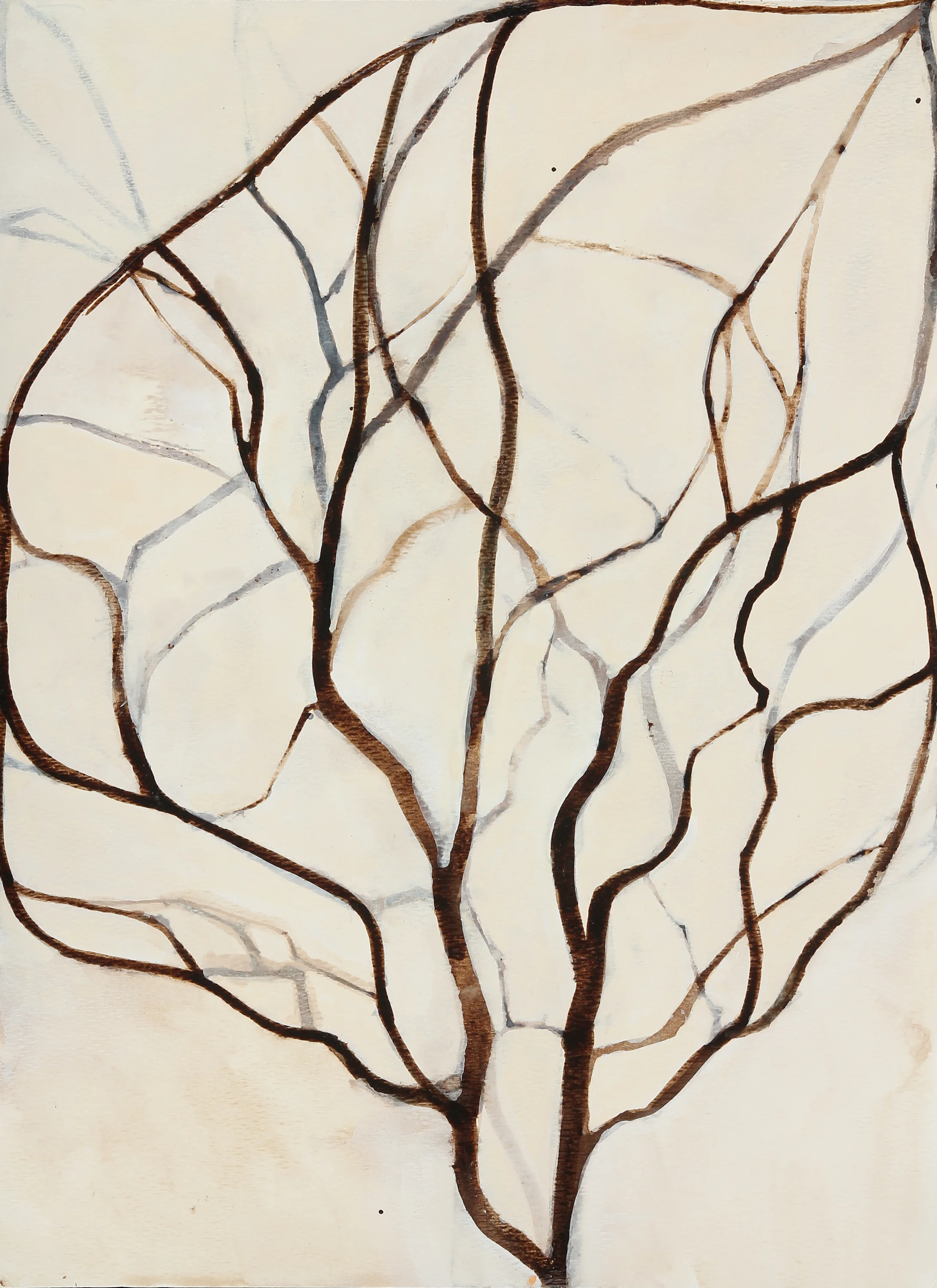 Seedling 3