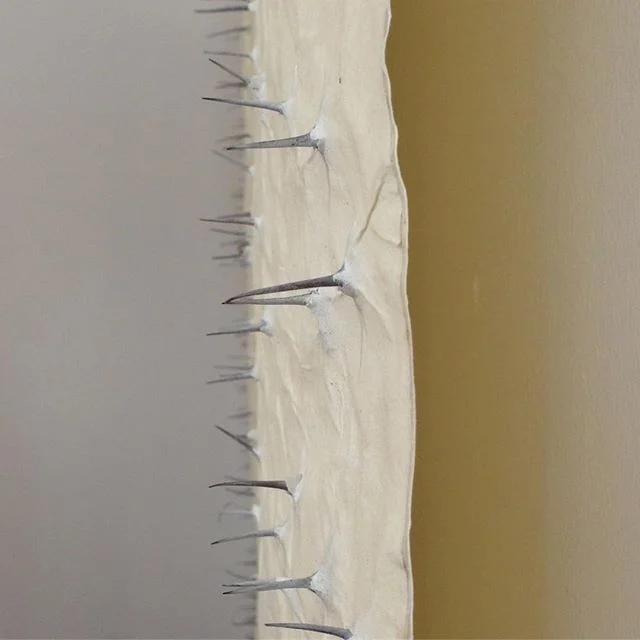 Thorns Profile.jpg