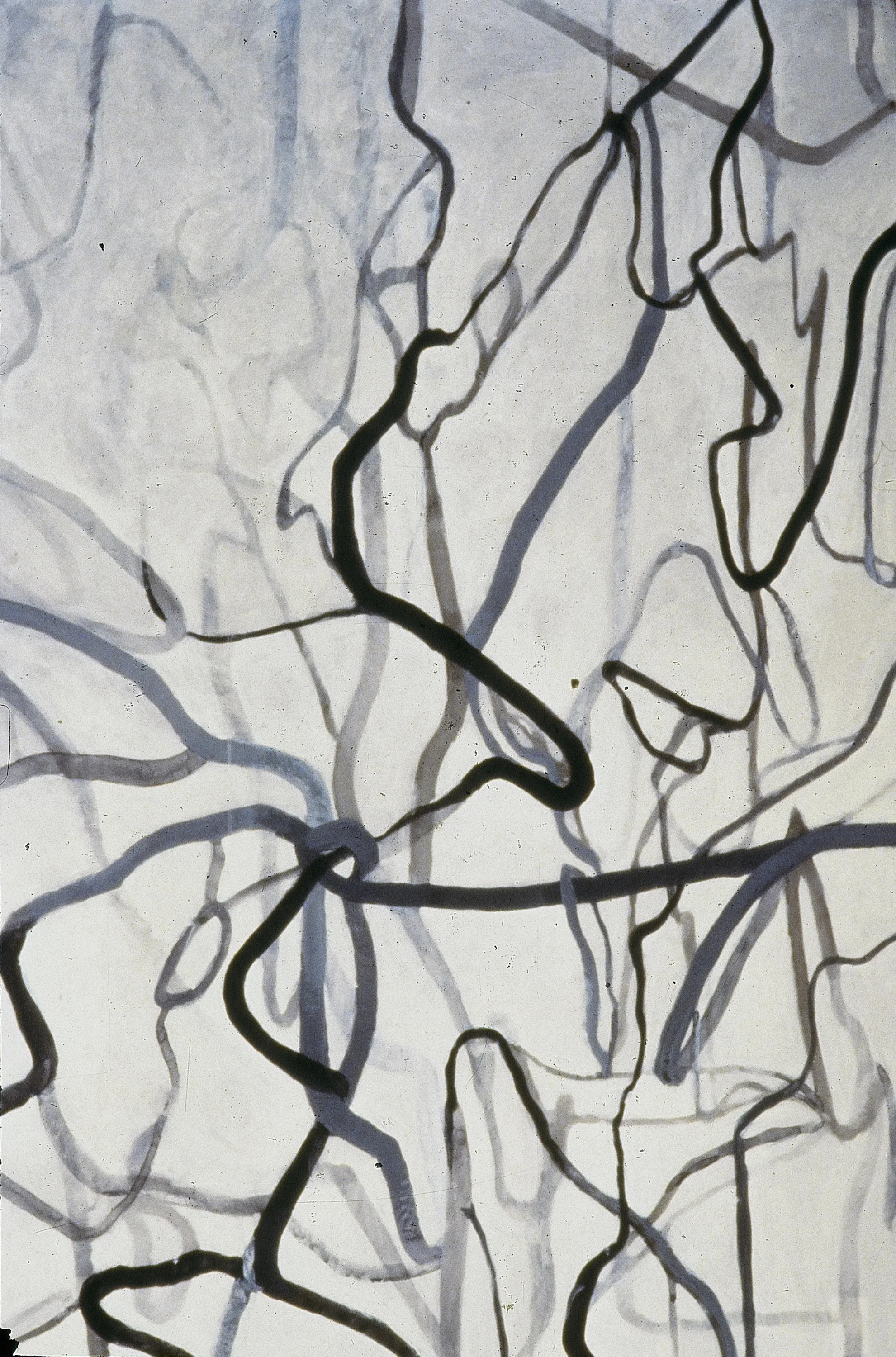 Shadow Drawings (1).jpg