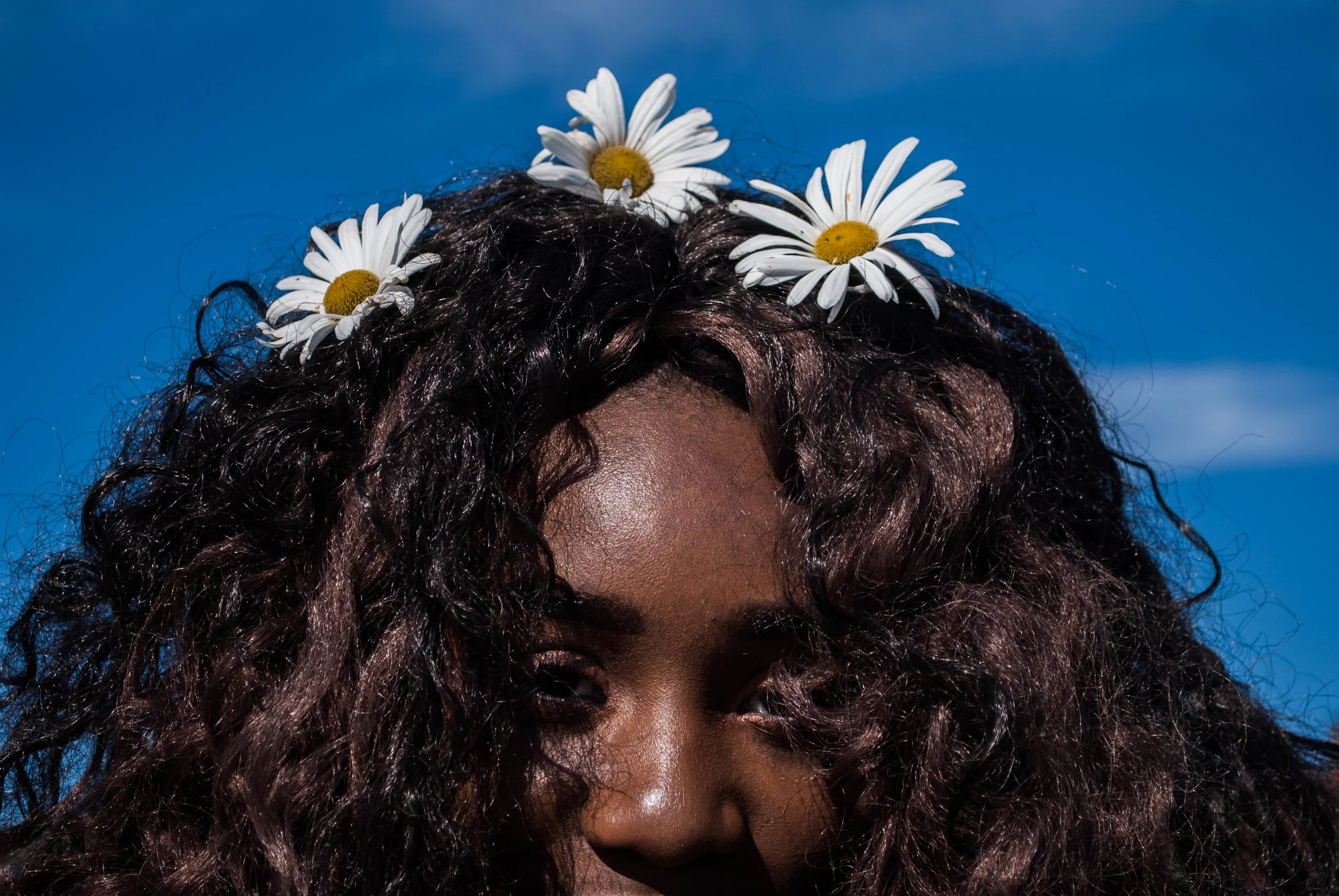 HairStory : 2016 The Evolution Of Many Crowns 