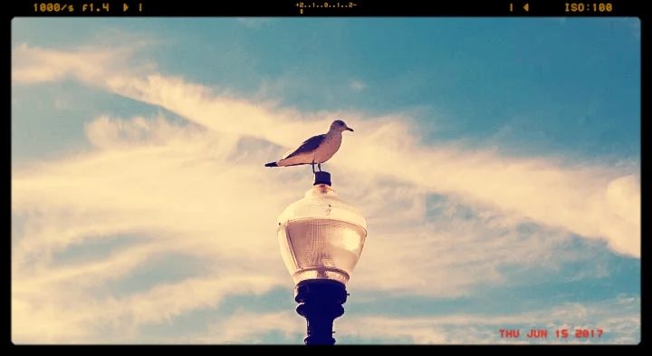 asbury adventure-82.jpg
