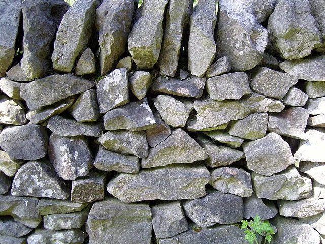 Fences & Walls: A Joint Program with the LCHS