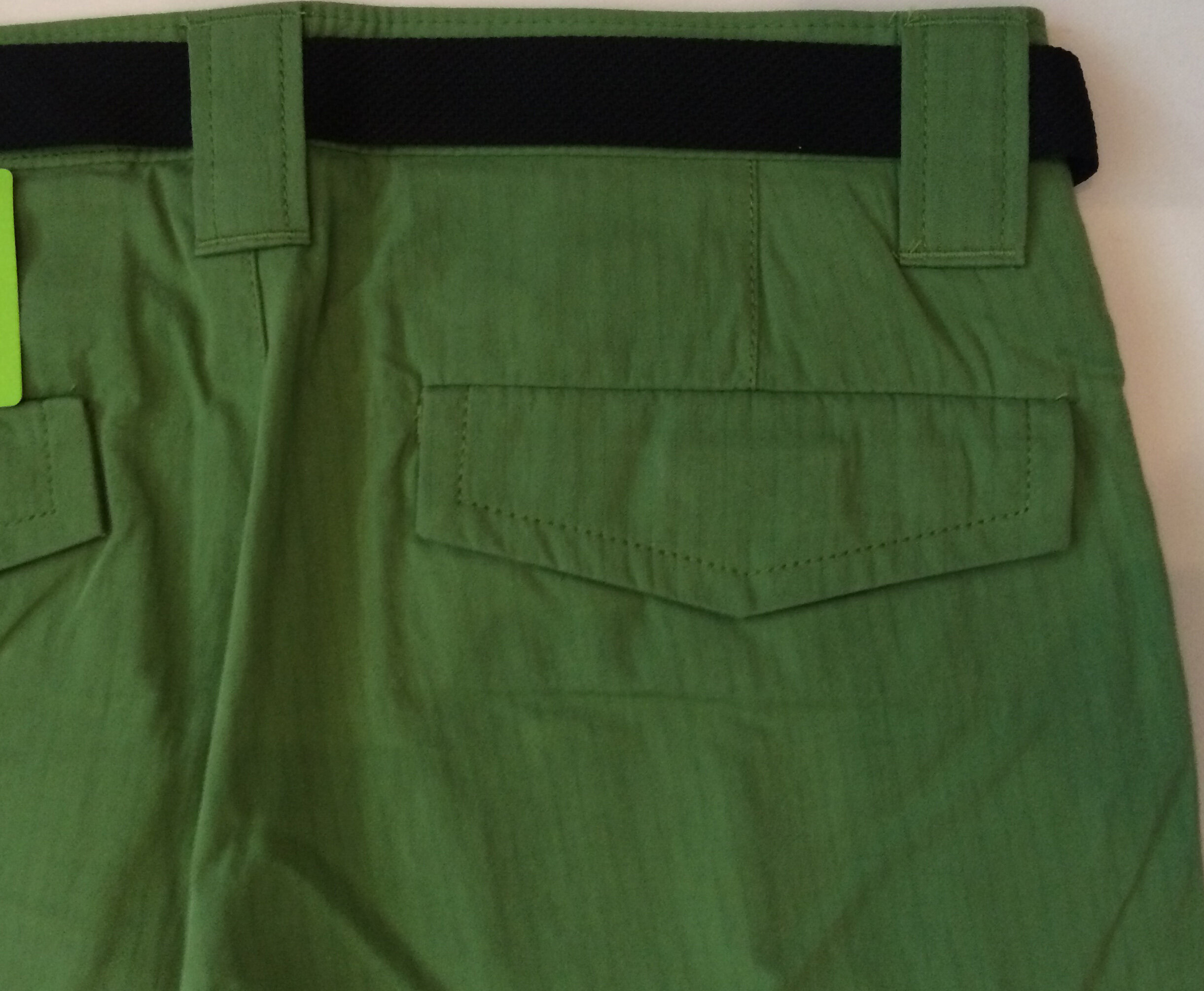 TECHNICIAN CARGO SHORT BAck view close up english ivy.JPG