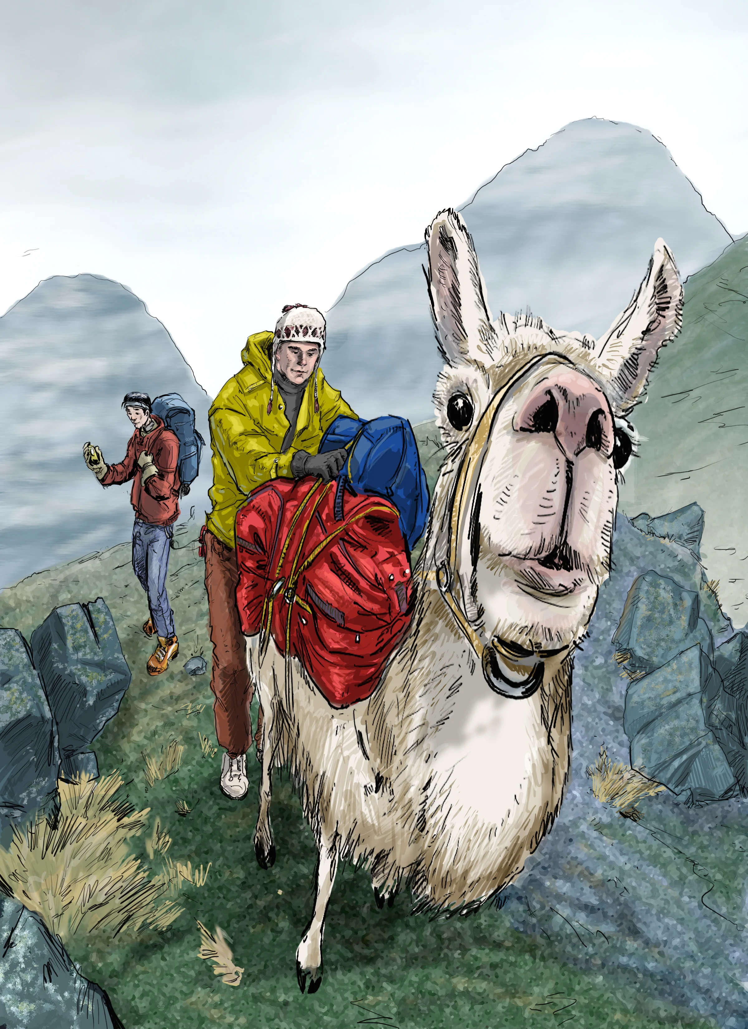 llamafinal.jpg