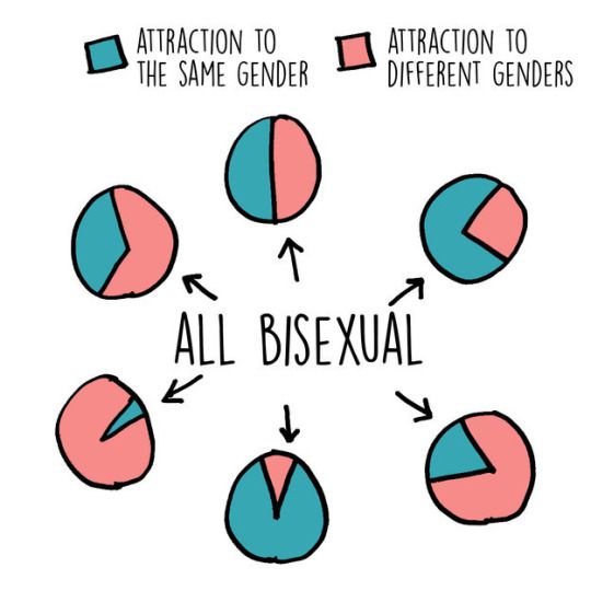More 'bisexual pie charts' can be found HERE.