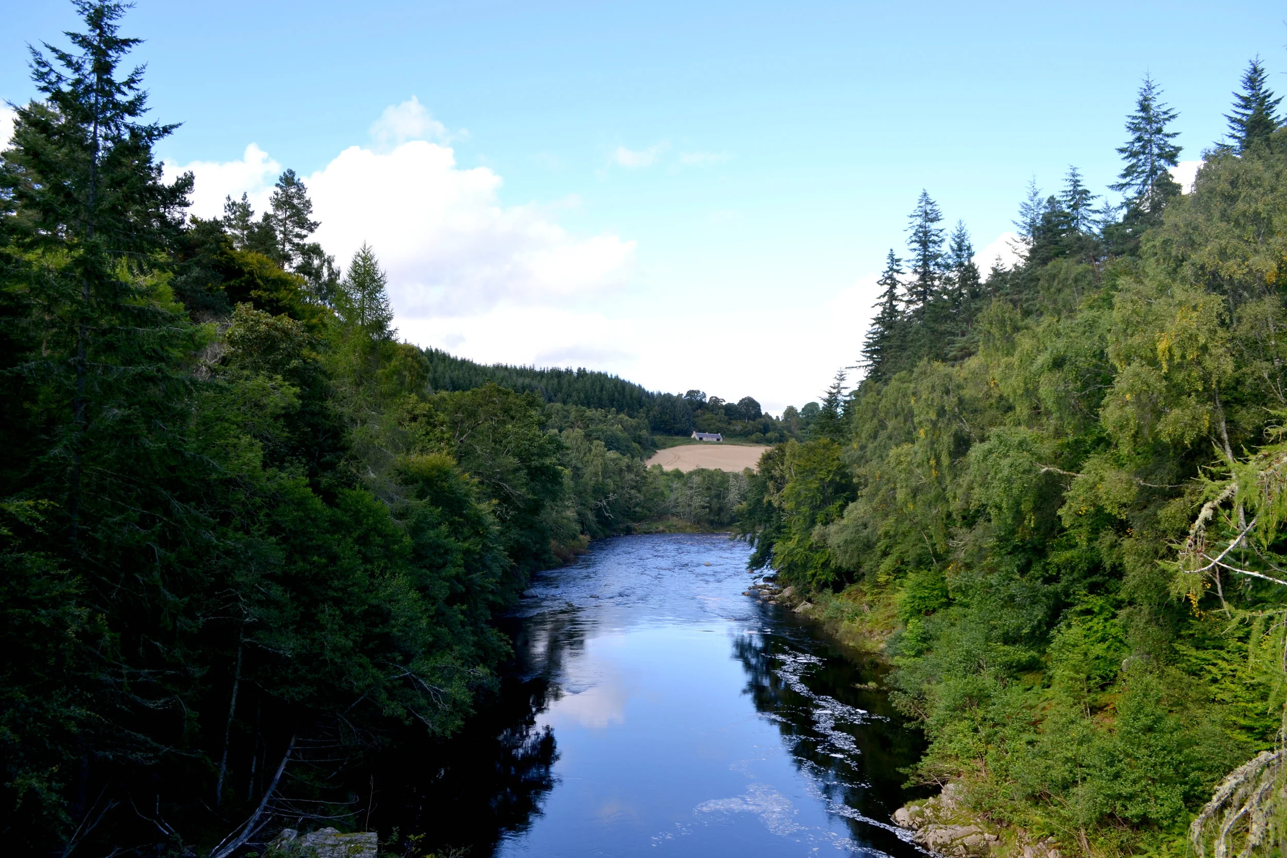 DSC_1036.jpg