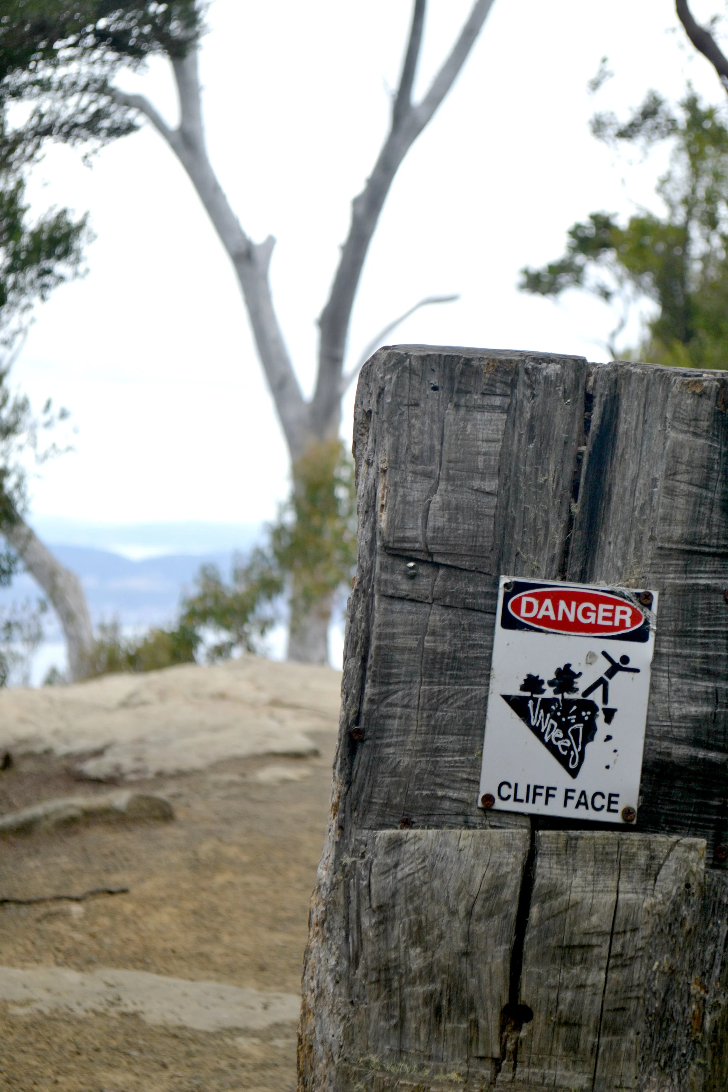 Mt Wellington 4.jpg