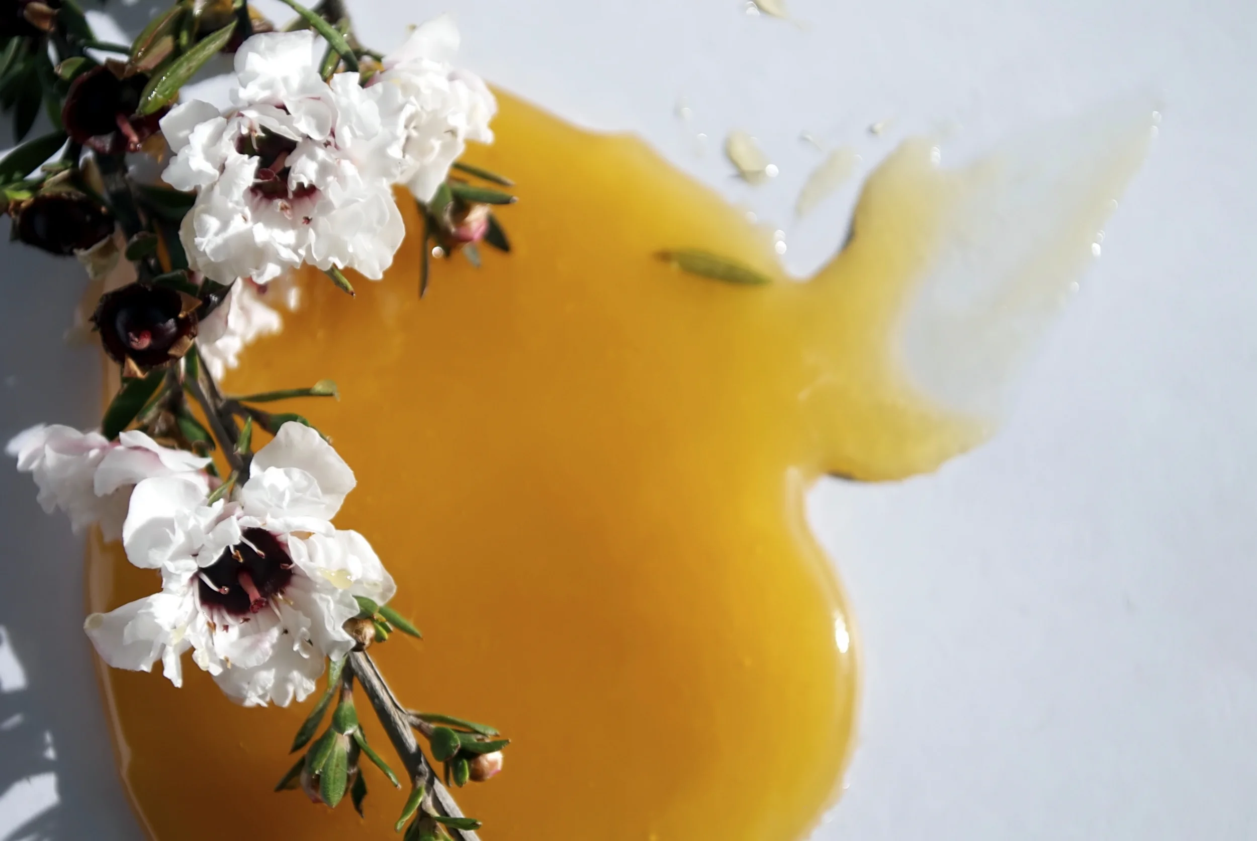 Royal Jelly