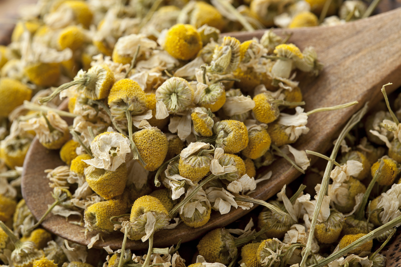 Chamomile