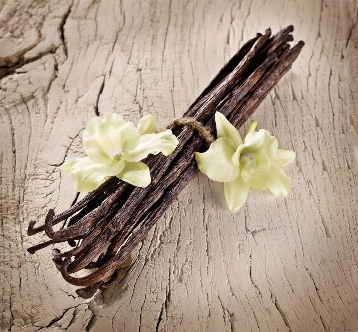 Vanilla
