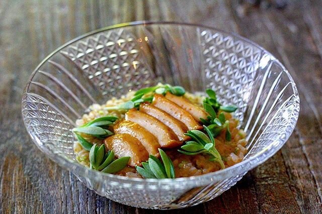 Abalone steamed in sake. Sauce made from the liver, guanciale, and capers. Koshihikari rice.