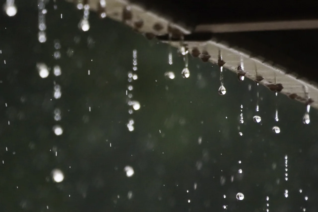 Farmers' Circle – Rainwater Harvesting Workshop with TreePeople