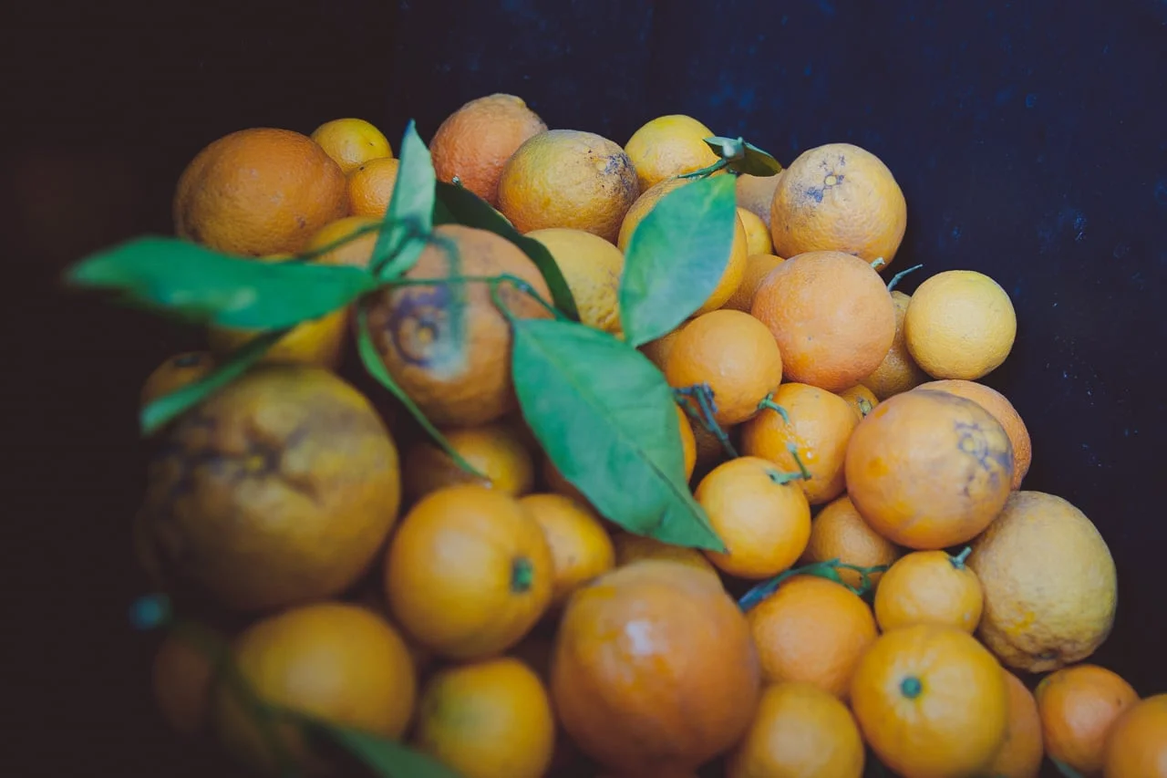 Farmers' Circle - Hello 2016 Orchard Season