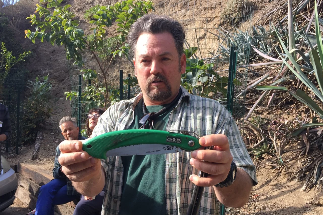 Treeage 2015: Pruning SWAT Team