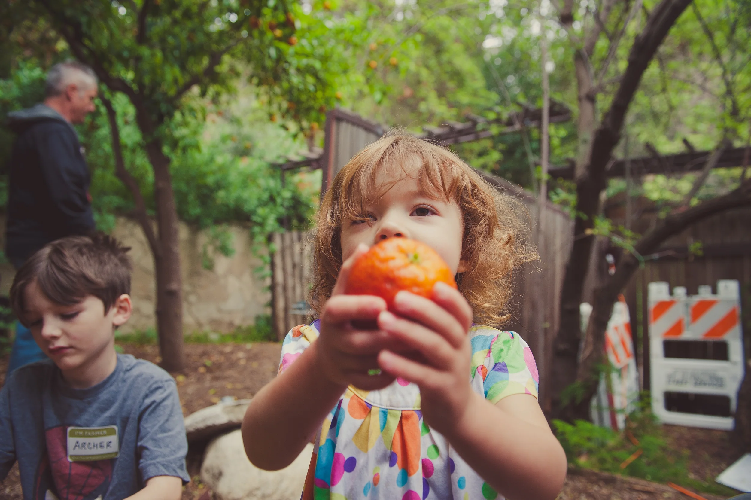 Pick-n-Kitchen: Sweet Song of Citrus