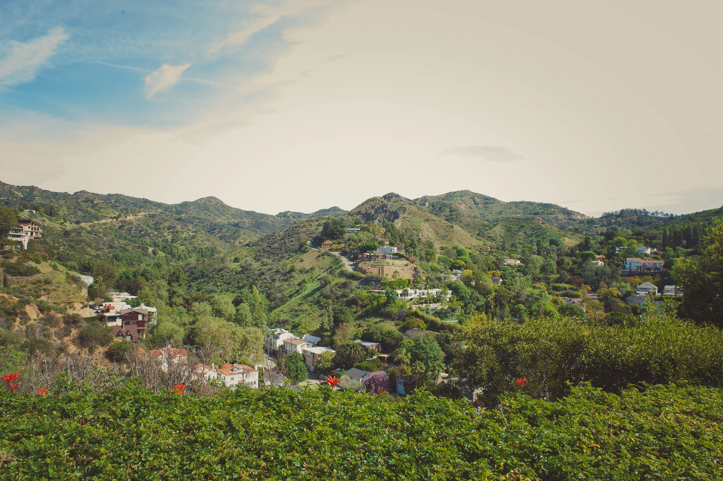 Diggin' In 2016: Mini Grove and Beyond