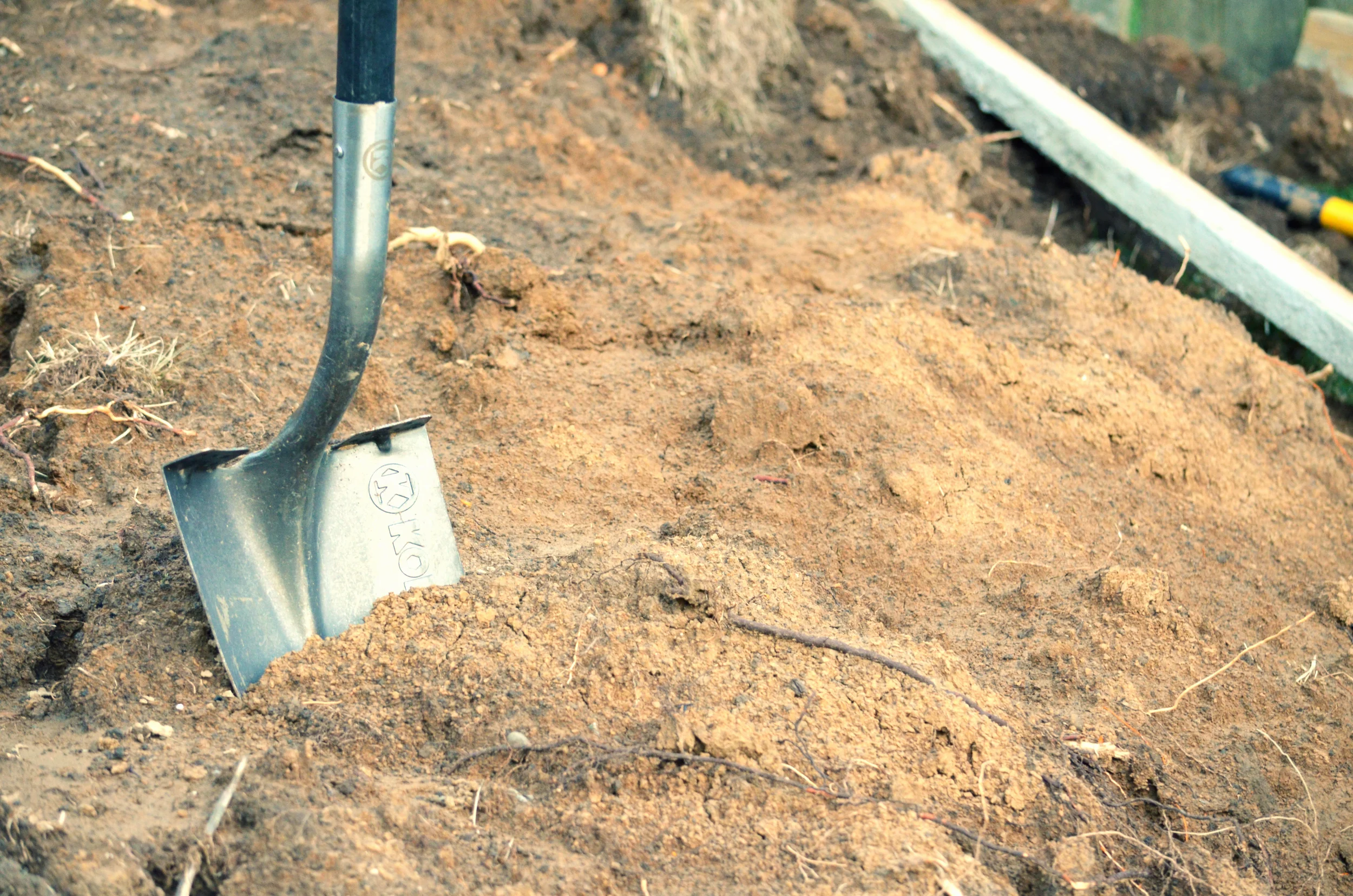 Cleanin' Up the Mini Grove