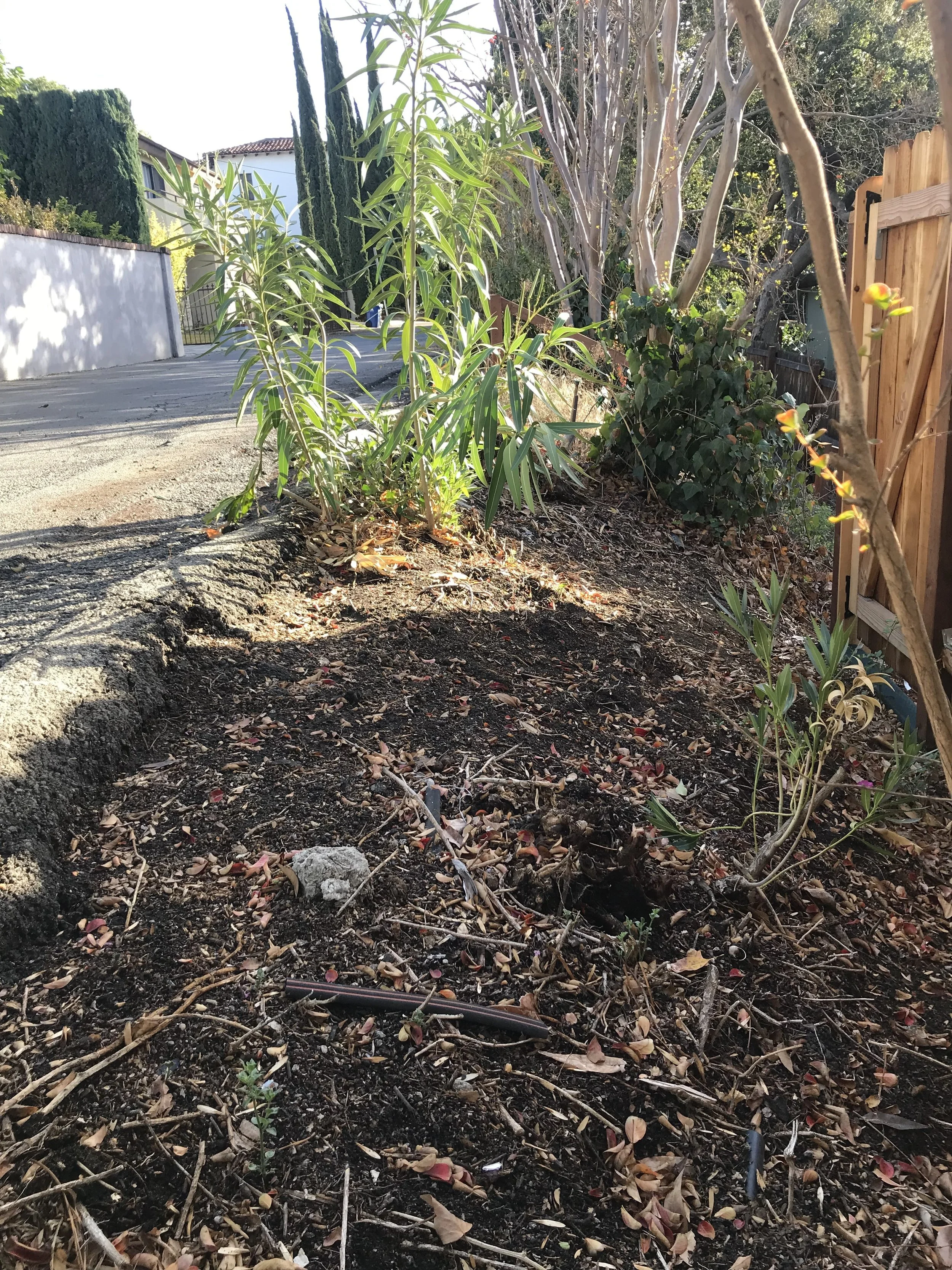 Diggin' In 2019: The Hollyridge Parkway