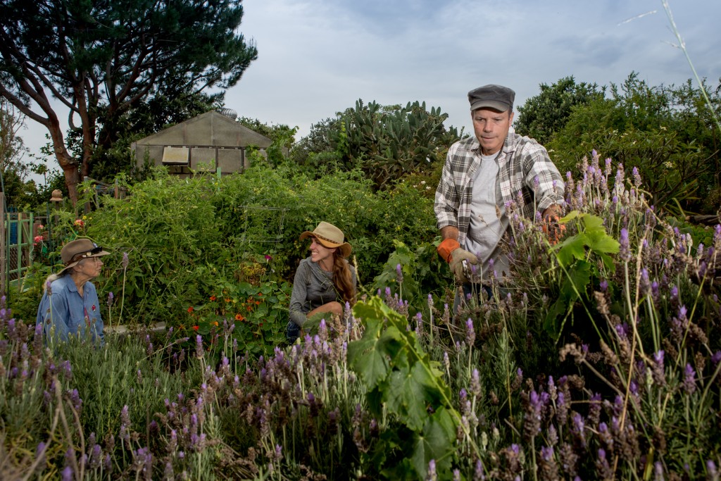 Visit to Wattles Farm Community Garden