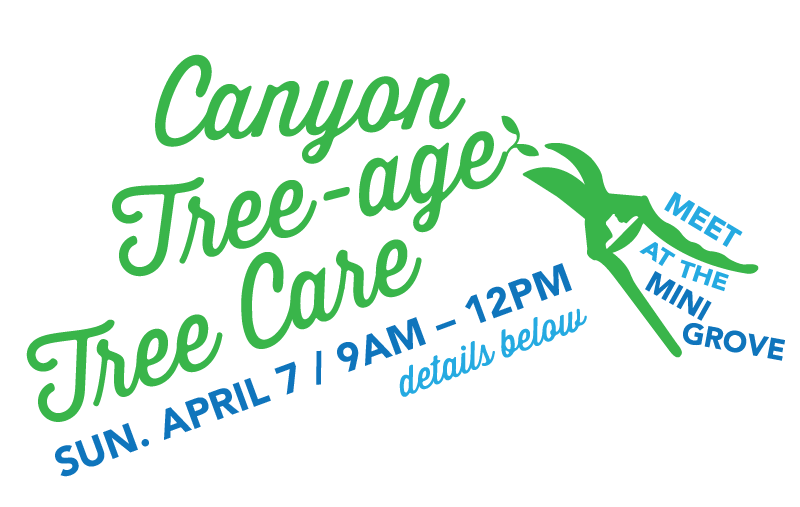 Treeage Banner.png