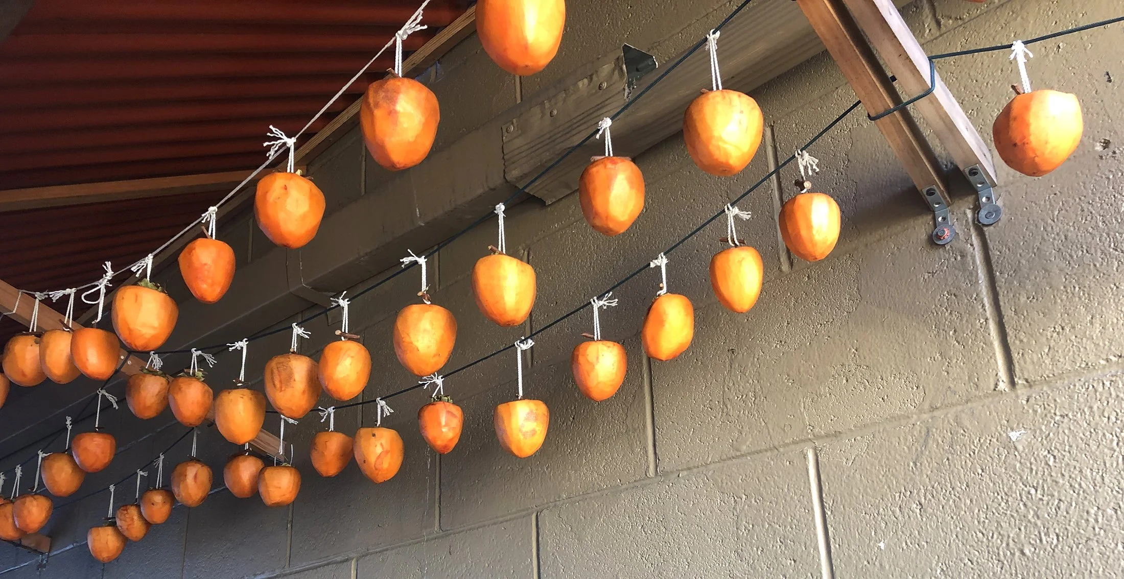 POM & PERSIMMON PREP