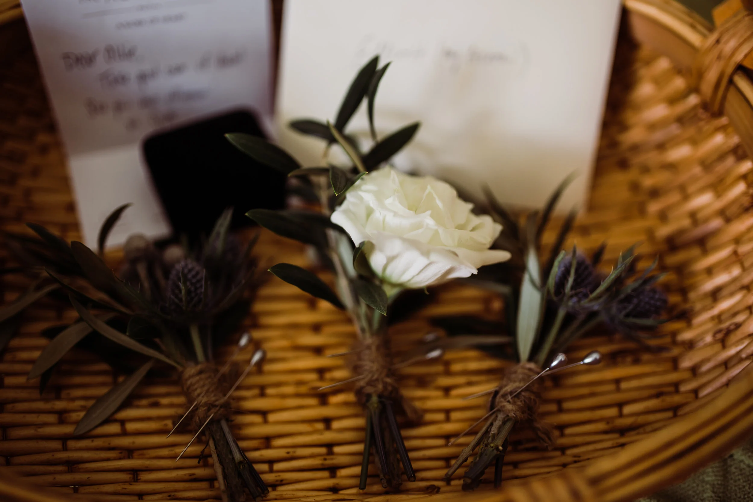 2017.10.15 Steffi and Elliott Simmonds Casa Feliz Wedding (6 of 969).jpg
