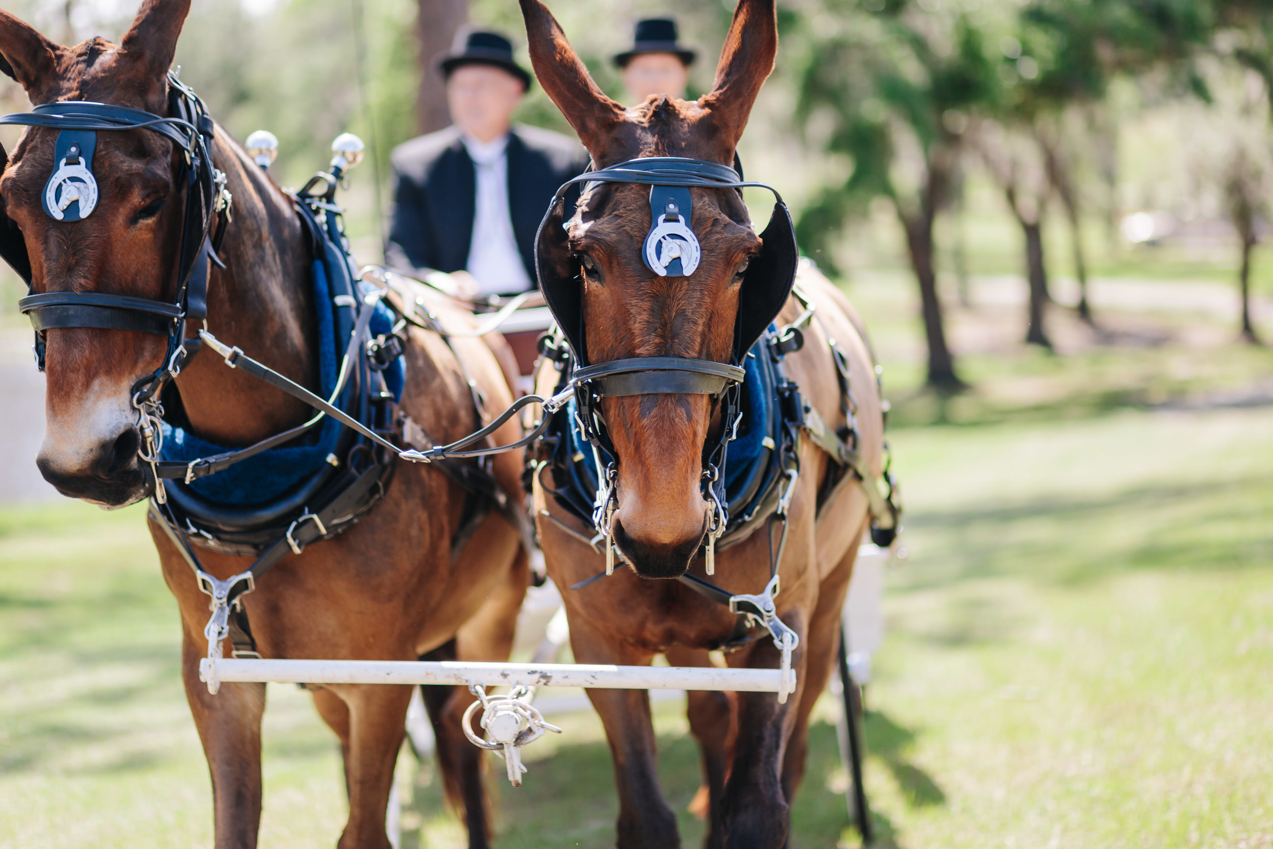 2018.04.14 Zak and Jamisyn Unrue Black Willow Barn Wedding Finals-282.jpg