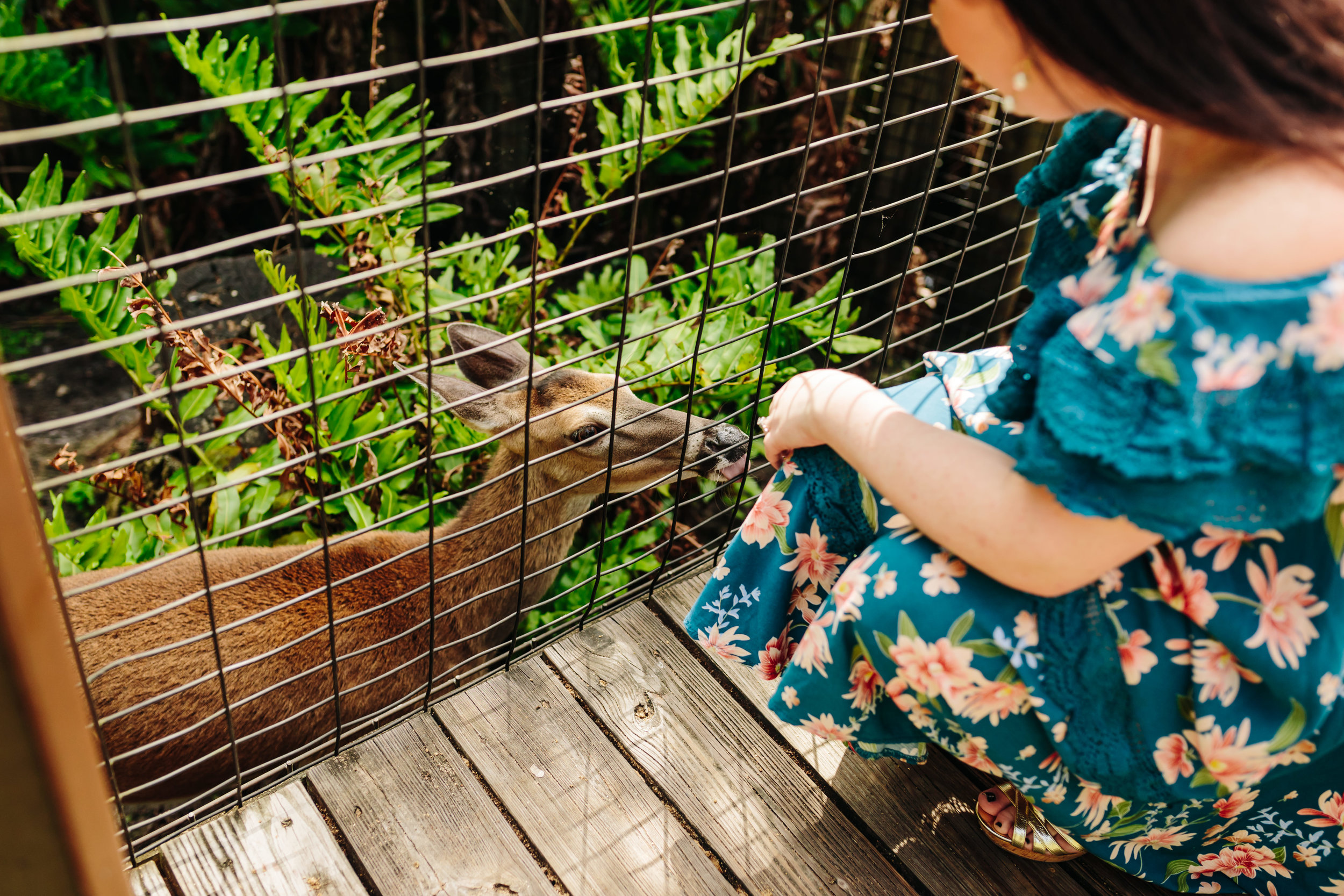 2018.05.01 Ashleigh and Nathan Brevard Zoo Engagement Session-106.jpg