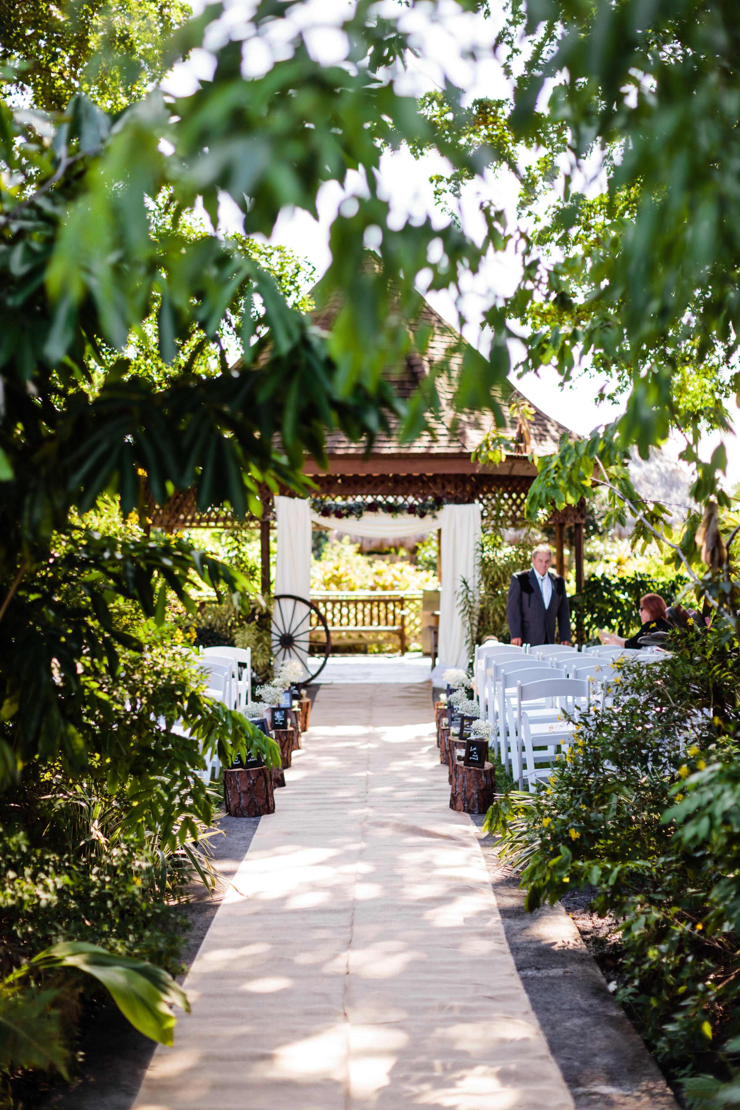 Emily And Steve Mounts Botanical Gardens Wedding In West Palm