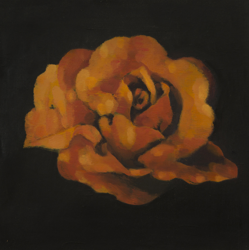 ROSE IN THE DARK  oil on panel  10 x 10"  2016  Andra Norris Gallery, Burlingame, CA