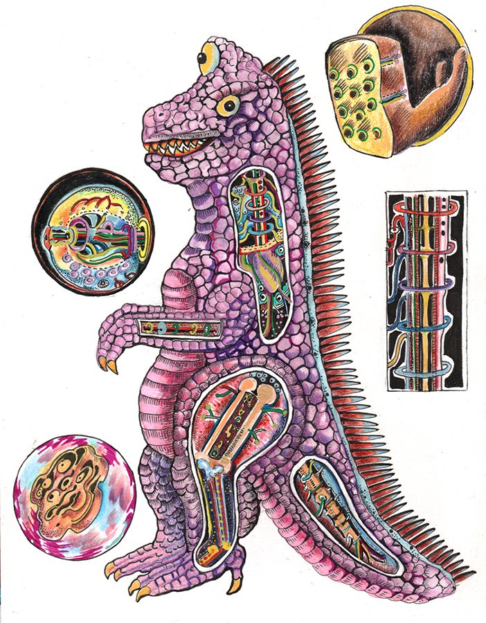 Fantasaurus Rex Anatomy.jpg